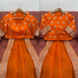 Party Wear Organza Silk Saree with Sequins Work and Designer Blouse